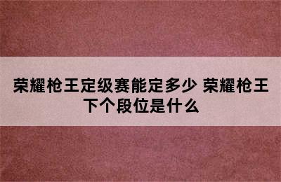 荣耀枪王定级赛能定多少 荣耀枪王下个段位是什么